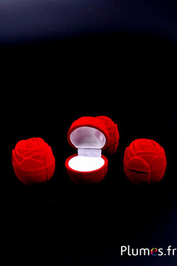 Écrin en forme de rose - 4 x 4 cm - rouge-blanc